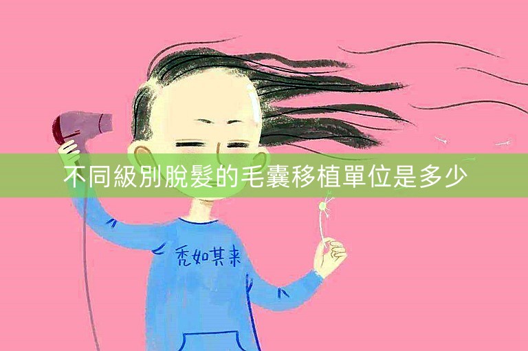 不同級別脫髮的毛囊移植單位是多少 不同級別脫髮的毛囊移植單位是多少