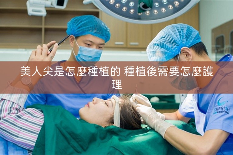 美人尖是怎麼種植的 種植後需要怎麼護理