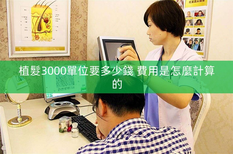 植髮3000單位要多少錢 費用是怎麼計算的