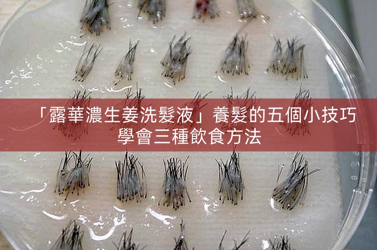 「露華濃生姜洗髮液」養髮的五個小技巧學會三種飲食方法