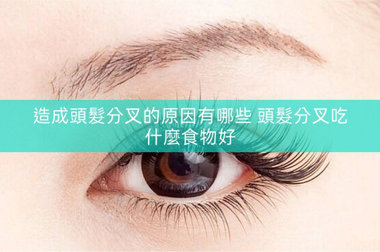 造成頭髮分叉的原因有哪些 頭髮分叉吃什麼食物好 造成頭髮分叉的原因有哪些 頭髮分叉吃什麼食物好