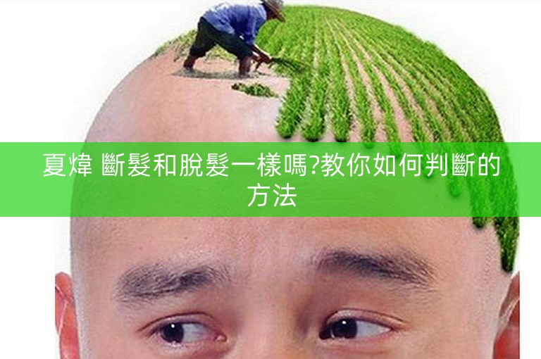 夏煒 斷髮和脫髮一樣嗎?教你如何判斷的方法