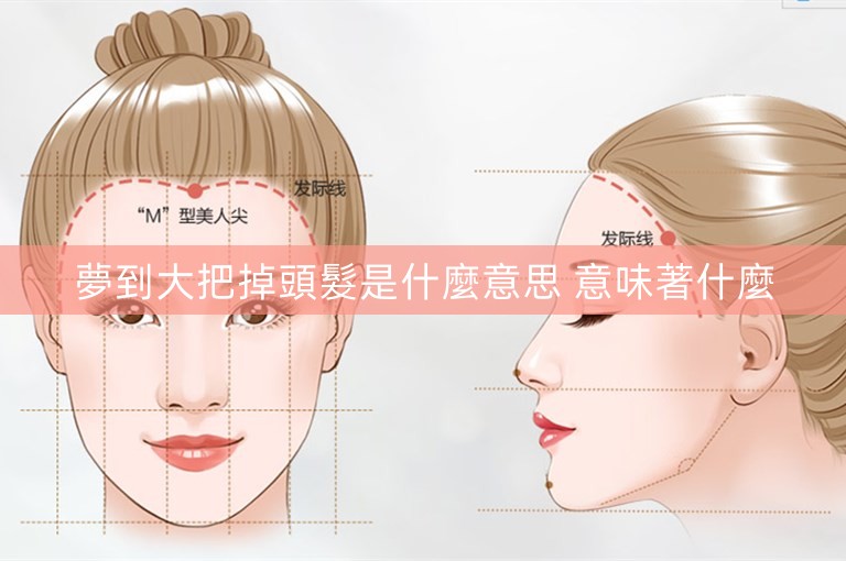 夢到大把掉頭髮是什麼意思 意味著什麼 夢到大把掉頭髮是什麼意思 意味著什麼