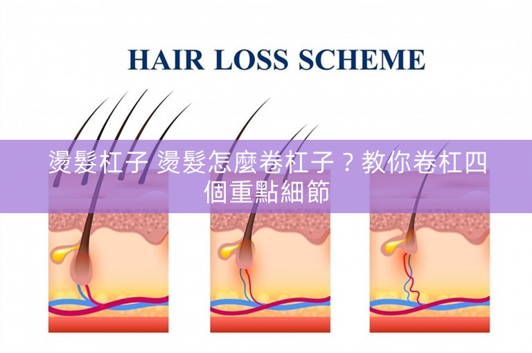 燙髮杠子 燙髮怎麼卷杠子?教你卷杠四個重點細節 燙髮杠子 燙髮怎麼卷杠子?教你卷杠四個重點細節