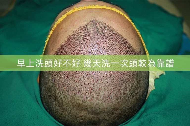 早上洗頭好不好 幾天洗一次頭較為靠譜