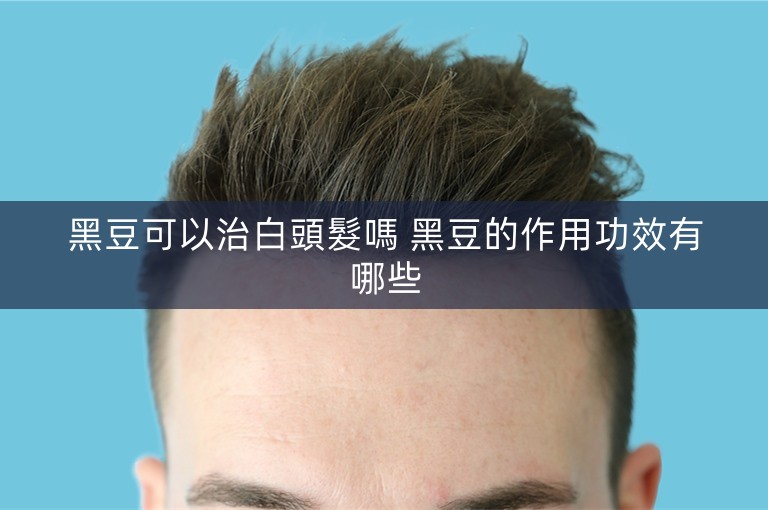 黑豆可以治白頭髮嗎 黑豆的作用功效有哪些 黑豆可以治白頭髮嗎 黑豆的作用功效有哪些