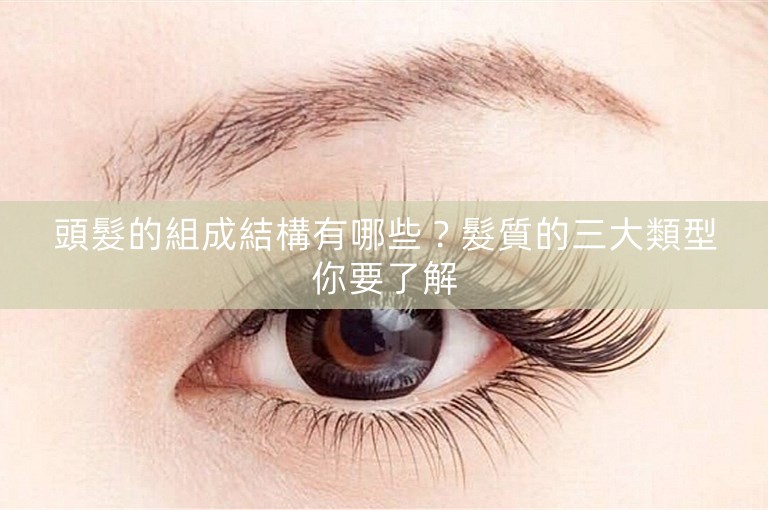 頭髮的組成結構有哪些？髮質的三大類型你要了解