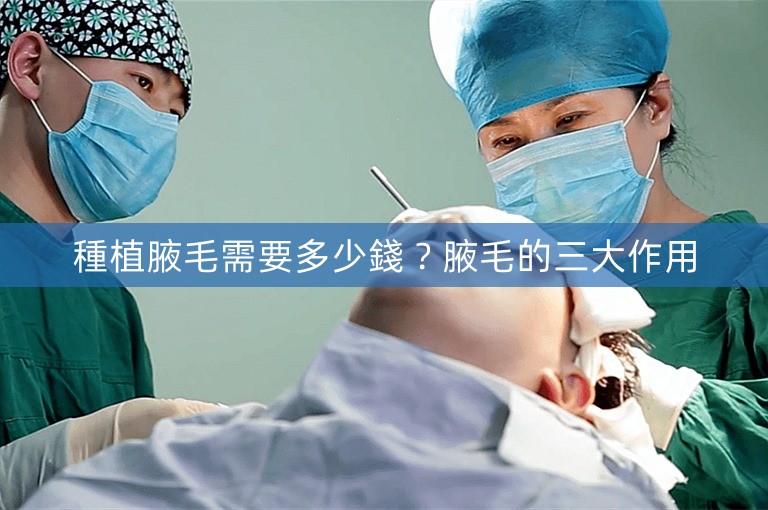 種植腋毛需要多少錢？腋毛的三大作用