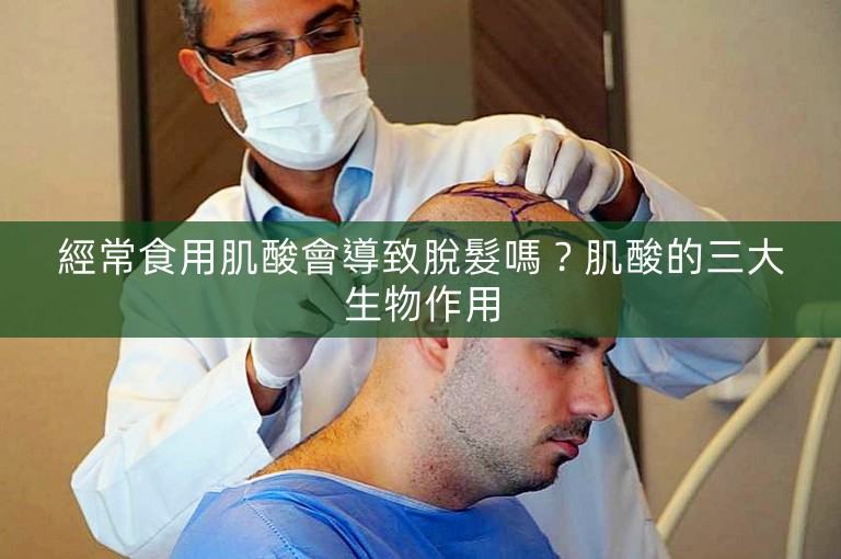 經常食用肌酸會導致脫髮嗎？肌酸的三大生物作用