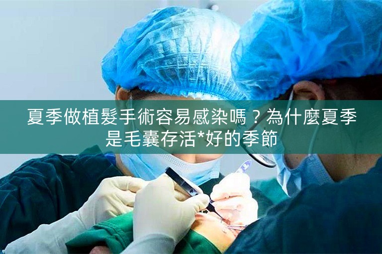 夏季做植髮手術容易感染嗎？為什麼夏季是毛囊存活*好的季節