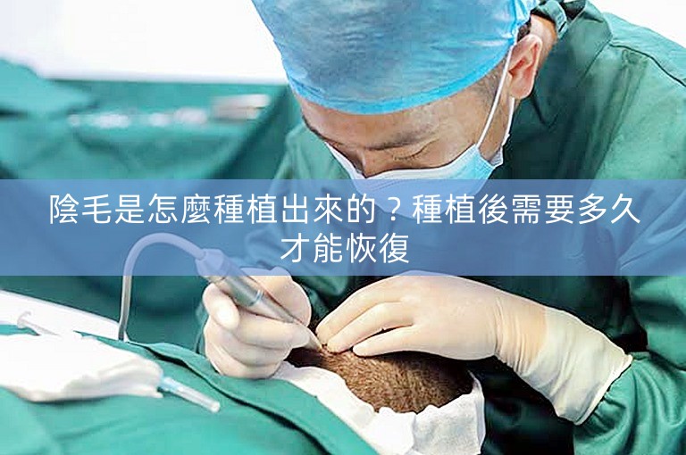 陰毛是怎麼種植出來的？種植後需要多久才能恢復