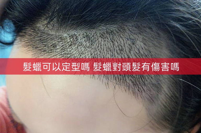 髮蠟可以定型嗎 髮蠟對頭髮有傷害嗎