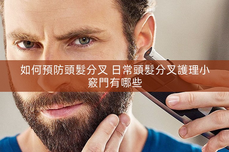 如何預防頭髮分叉 日常頭髮分叉護理小竅門有哪些 如何預防頭髮分叉 日常頭髮分叉護理小竅門有哪些