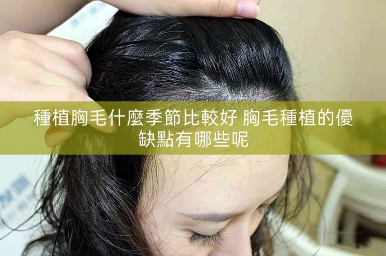 種植胸毛什麼季節比較好 胸毛種植的優缺點有哪些呢