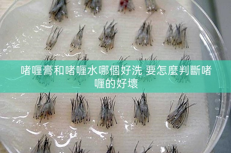 啫喱膏和啫喱水哪個好洗 要怎麼判斷啫喱的好壞