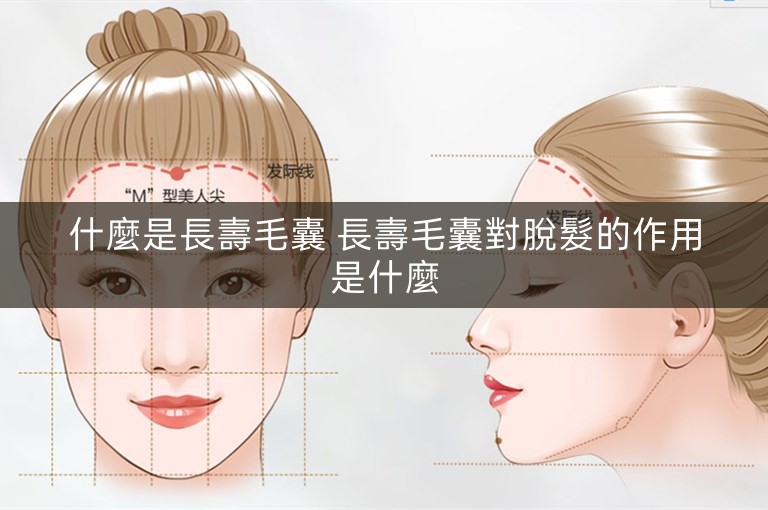 什麼是長壽毛囊 長壽毛囊對脫髮的作用是什麼