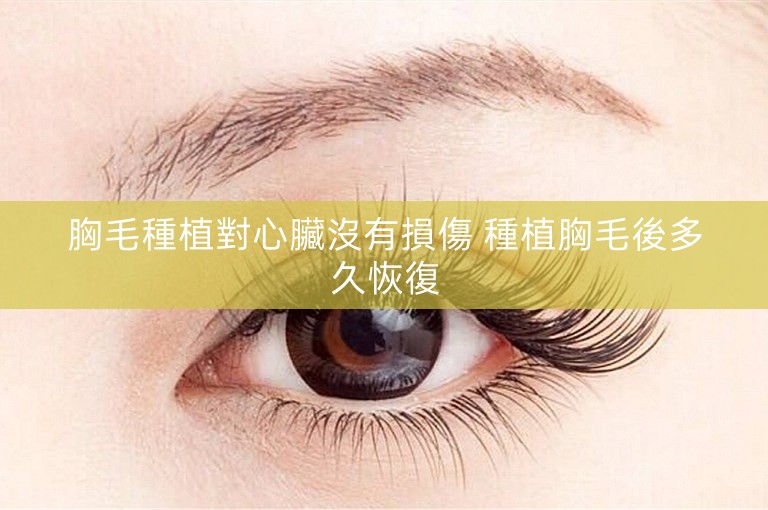 胸毛種植對心臟沒有損傷 種植胸毛後多久恢復
