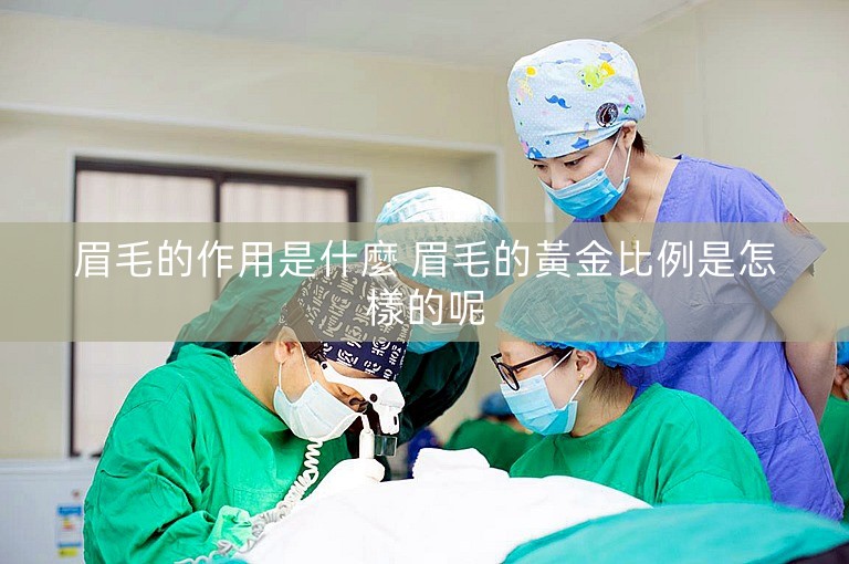 眉毛的作用是什麼 眉毛的黃金比例是怎樣的呢 眉毛的作用是什麼 眉毛的黃金比例是怎樣的呢