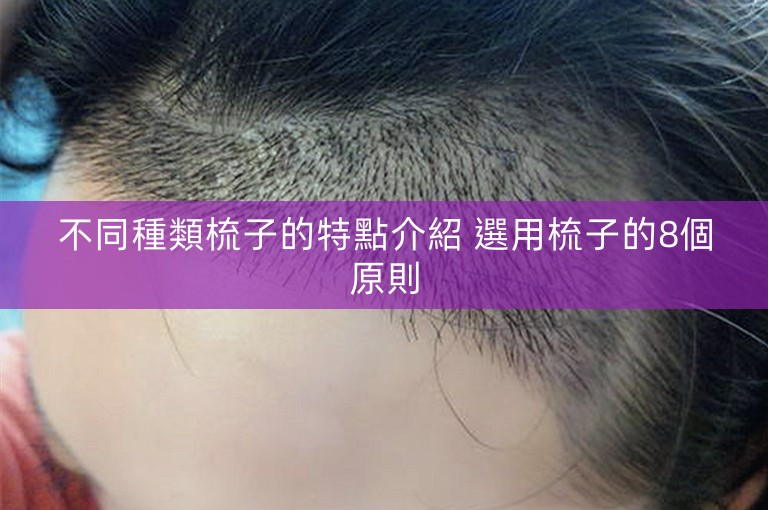 不同種類梳子的特點介紹 選用梳子的8個原則 不同種類梳子的特點介紹 選用梳子的8個原則