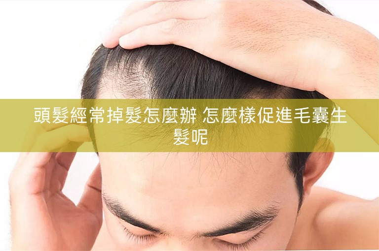 頭髮經常掉髮怎麼辦 怎麼樣促進毛囊生髮呢