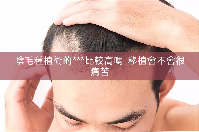 陰毛種植術的***比較高嗎  移植會不會很痛苦