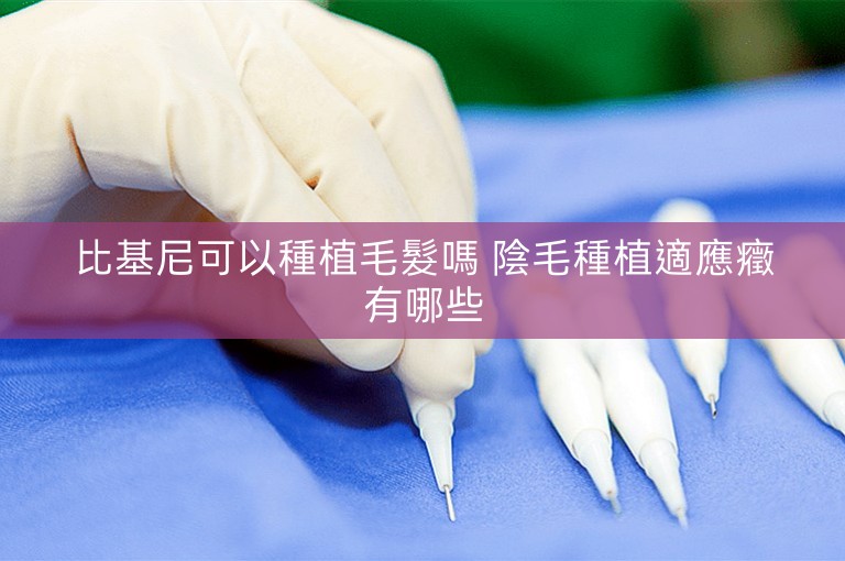 比基尼可以種植毛髮嗎 陰毛種植適應癥有哪些 比基尼可以種植毛髮嗎 陰毛種植適應癥有哪些