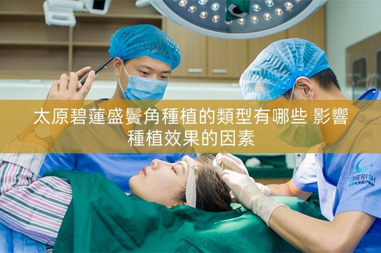 太原碧蓮盛鬢角種植的類型有哪些 影響種植效果的因素