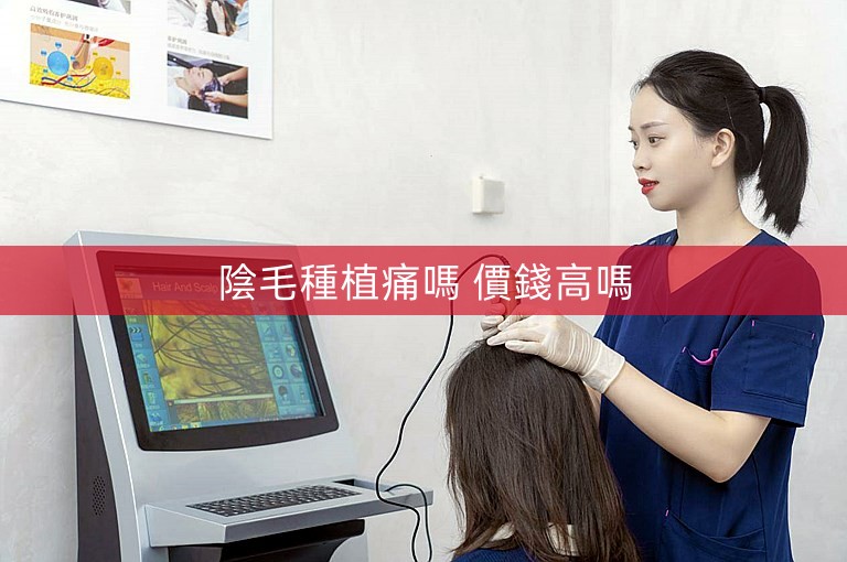 陰毛種植痛嗎 價錢高嗎 陰毛種植痛嗎 價錢高嗎