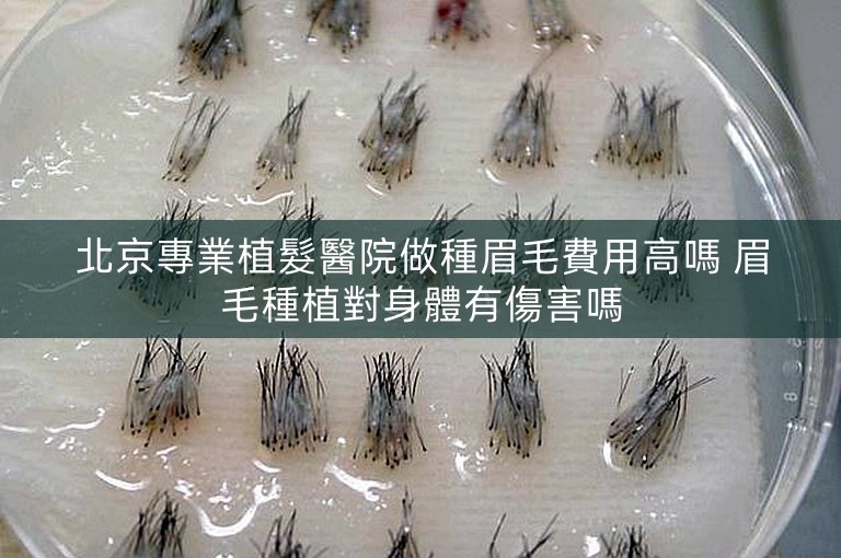 北京專業植髮醫院做種眉毛費用高嗎 眉毛種植對身體有傷害嗎