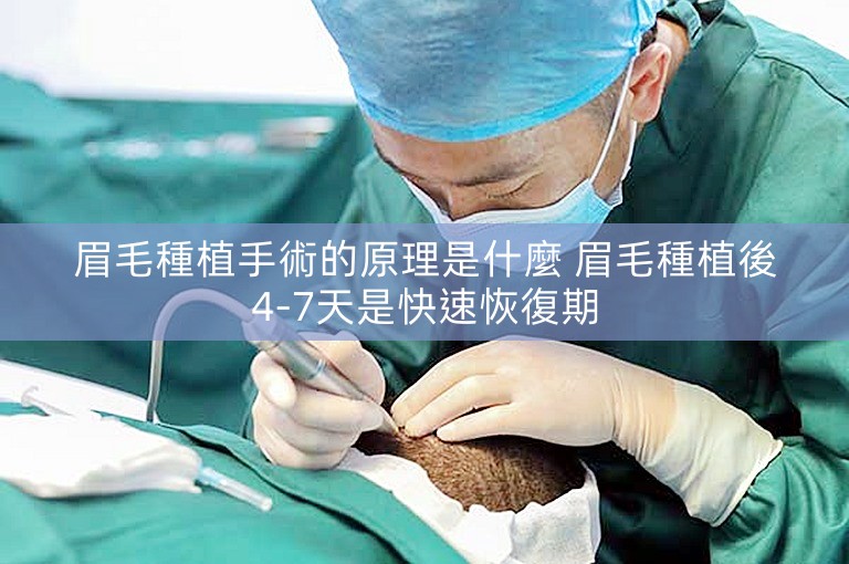 眉毛種植手術的原理是什麼 眉毛種植後4-7天是快速恢復期