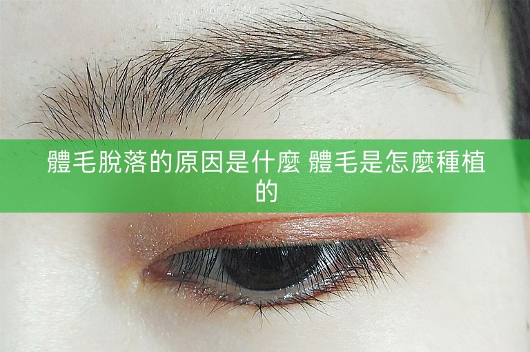 體毛脫落的原因是什麼 體毛是怎麼種植的