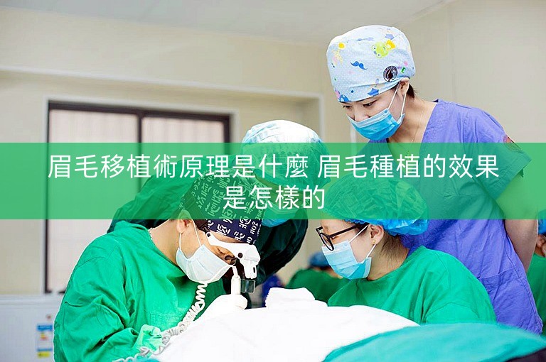 眉毛移植術原理是什麼 眉毛種植的效果是怎樣的
