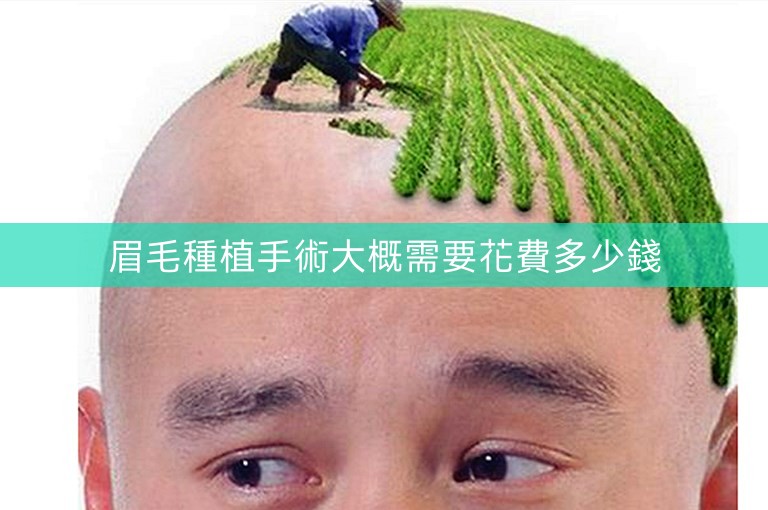 眉毛種植手術大概需要花費多少錢