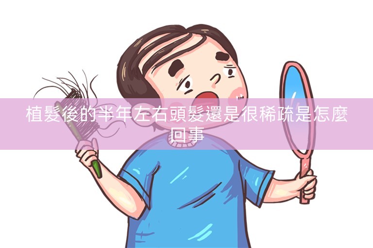 植髮後的半年左右頭髮還是很稀疏是怎麼回事