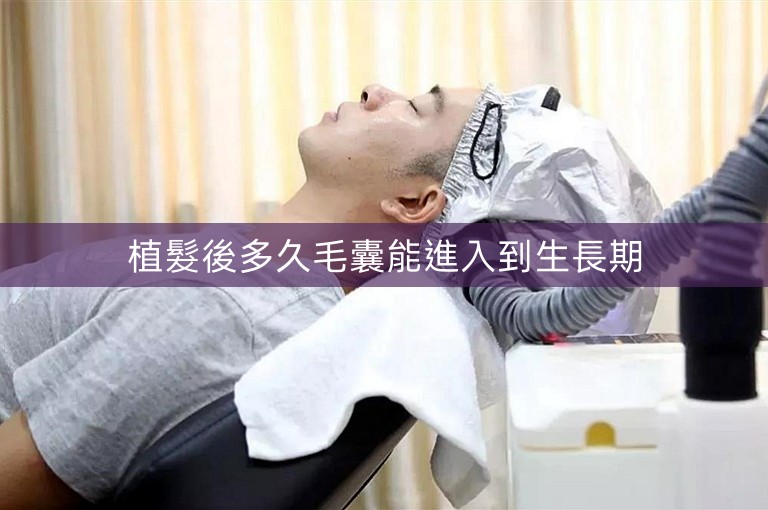 植髮後多久毛囊能進入到生長期