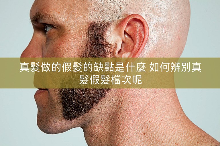 真髮做的假髮的缺點是什麼 如何辨別真髮假髮檔次呢 真髮做的假髮的缺點是什麼 如何辨別真髮假髮檔次呢