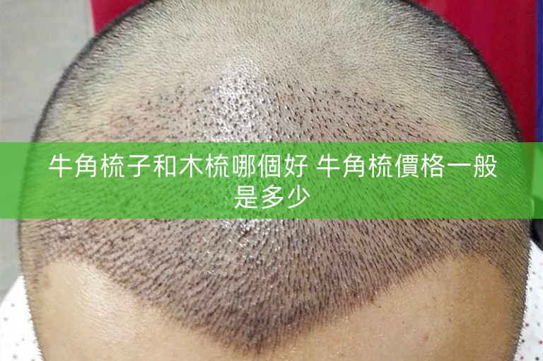 牛角梳子和木梳哪個好 牛角梳價格一般是多少