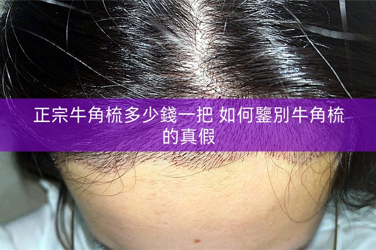 正宗牛角梳多少錢一把 如何鑒別牛角梳的真假