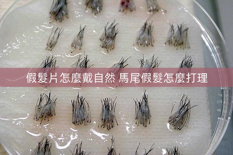 假髮片怎麼戴自然 馬尾假髮怎麼打理